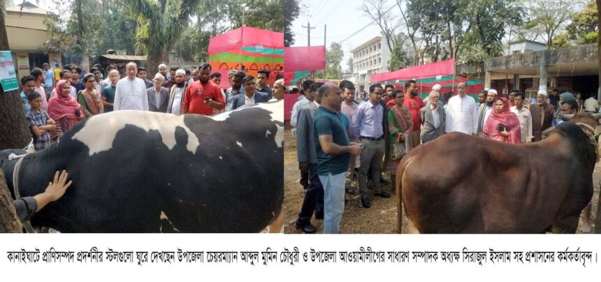 কানাইঘাটে দিনব্যাপী প্রাণিসম্পদ প্রদর্শনী অনুষ্ঠিত 1 কানাইঘাটে দিনব্যাপী প্রাণিসম্পদ প্রদর্শনী অনুষ্ঠিত - Surma Times | Sylhet News