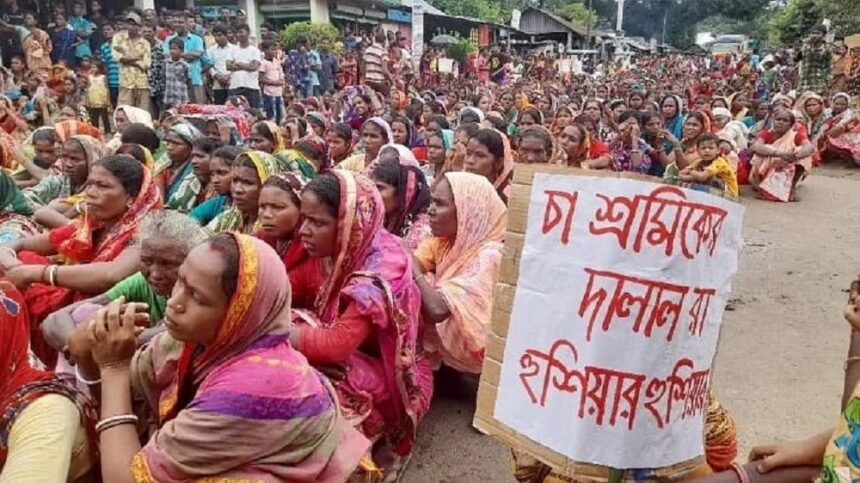 অবিলম্বে পূর্ণ বকেয়া মজুরি প্রদানসহ বাজাদরের সাথে সংগতিপূর্ণ মজুরির দাবি চা-শ্রমিক সংঘের 1 অবিলম্বে পূর্ণ বকেয়া মজুরি প্রদানসহ বাজাদরের সাথে সংগতিপূর্ণ মজুরির দাবি চা-শ্রমিক সংঘের - Surma Times | Sylhet News