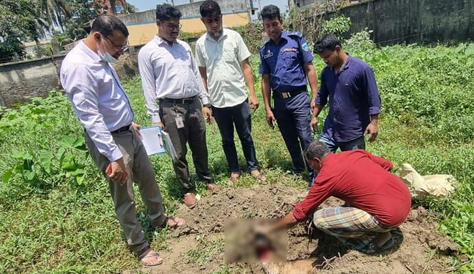 প্রকাশ্যে শিয়ালের মাংস বিক্রি, অতঃপর.. - Surma Times | Sylhet News