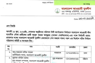 বরিশাল সিটি কর্পোরেশন নির্বাচন কার্যক্রম পরিচালনায় যুবলীগের টিম গঠন - Surma Times | Sylhet News