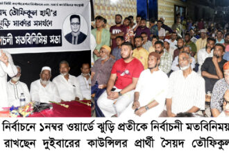 উন্নয়নের ধারা অব্যাহত রেখে অসমাপ্ত কাজকে সমাপ্ত করতে চাই : তৌফিকুল হাদী - Surma Times | Sylhet News