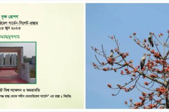 শহীদ মেমোরিয়াল গার্ডেনে বৃক্ষরোপণ কর্মসূচি কাল 16 শহীদ মেমোরিয়াল গার্ডেনে বৃক্ষরোপণ কর্মসূচি কাল - Surma Times | Sylhet News