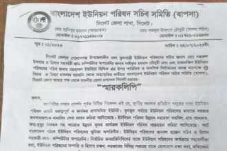 গোলাপগঞ্জে ইউপি সচিব ও কম্পিউটার অপারেটরকে নির্যাতন: জেলা প্রশাসকের কাছে বাপসা’র স্মারকলিপি প্রদান 8 গোলাপগঞ্জে ইউপি সচিব ও কম্পিউটার অপারেটরকে নির্যাতন: জেলা প্রশাসকের কাছে বাপসা’র স্মারকলিপি প্রদান - Surma Times | Sylhet News