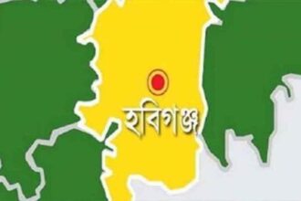 নবীগঞ্জে সুচিত্র গোপের দায়ের করা ফৌজদারি মামলায় ডাচ বাংলা ব্যাংকের ক্যাশিয়ার হোসাইন আহমেদ লালনসহ ৪ জন কারাগারে - Surma Times | Sylhet News