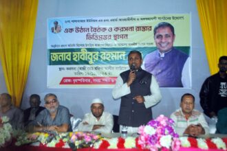 করসনা গ্রামের রাস্তার ভিত্তিপ্রস্তর ও উঠান বৈঠকের আলোচনা সভা অনুষ্ঠিত 4 করসনা গ্রামের রাস্তার ভিত্তিপ্রস্তর ও উঠান বৈঠকের আলোচনা সভা অনুষ্ঠিত - Surma Times | Sylhet News