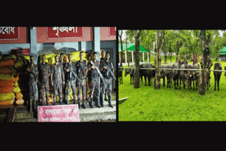 সিলেট সীমান্তে ফের কোটি টাকার অবৈধ পণ্য-পশু জব্দ 4 সিলেট সীমান্তে ফের কোটি টাকার অবৈধ পণ্য-পশু জব্দ - Surma Times | Sylhet News