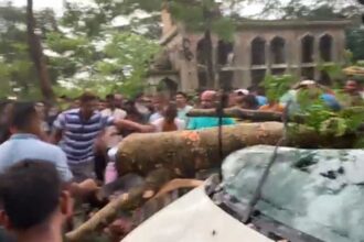 দক্ষিণ সুরমায় চলন্ত মাইক্রোবাসের উপর গাছ পড়ে আহত ৪ 18 দক্ষিণ সুরমায় চলন্ত মাইক্রোবাসের উপর গাছ পড়ে আহত ৪ - Surma Times | Sylhet News