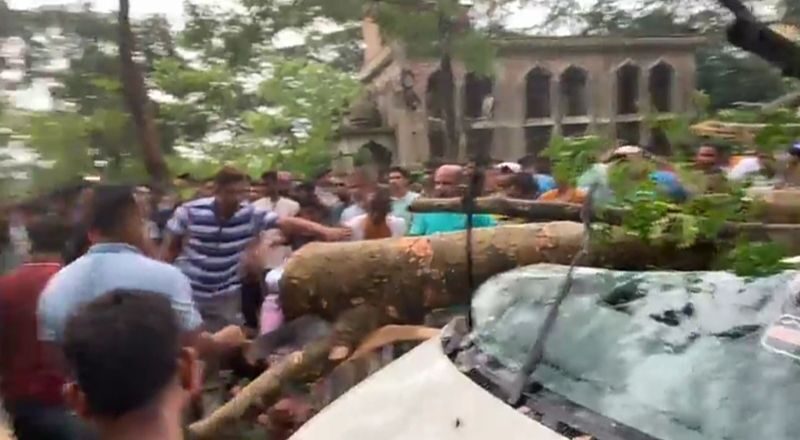 দক্ষিণ সুরমায় চলন্ত মাইক্রোবাসের উপর গাছ পড়ে আহত ৪ 1 দক্ষিণ সুরমায় চলন্ত মাইক্রোবাসের উপর গাছ পড়ে আহত ৪ - Surma Times | Sylhet News