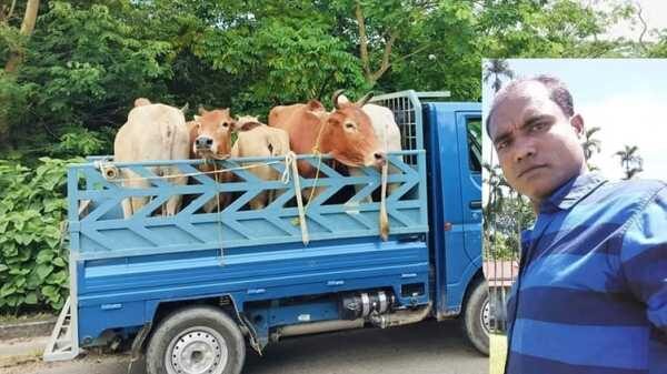 গোয়াইনঘাটে ভারতীয় চোরাই গরুর বৈধতার রসিদ দিচ্ছে ইয়াবা ব্যাবসায়ী আমিন সিন্ডিকেট 1 গোয়াইনঘাটে ভারতীয় চোরাই গরুর বৈধতার রসিদ দিচ্ছে ইয়াবা ব্যাবসায়ী আমিন সিন্ডিকেট - Surma Times | Sylhet News