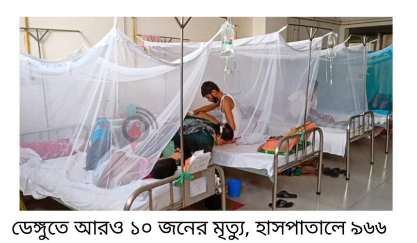 ডেঙ্গুতে আরও ১০ জনের মৃত্যু, হাসপাতালে ৯৬৬ 1 ডেঙ্গুতে আরও ১০ জনের মৃত্যু, হাসপাতালে ৯৬৬ - Surma Times | Sylhet News