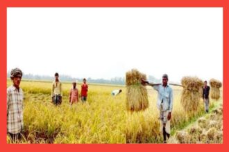 আজ পহেলা অগ্রহায়ণ, নবান্ন উৎসব - Surma Times | Sylhet News