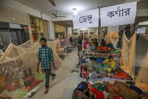 ডেঙ্গুতে এক দিনে সর্বোচ্চ ১১ জনের মৃত্যু, হাসপাতালে ১০৭৯ 1 ডেঙ্গুতে এক দিনে সর্বোচ্চ ১১ জনের মৃত্যু, হাসপাতালে ১০৭৯ - Surma Times | Sylhet News