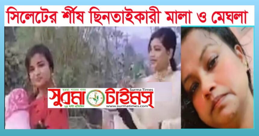 সিলেটে শীর্ষ নারী ছিনতাইকারী মালা সিন্ডিকেট সক্রিয়-সেল্টার দাতা কারা - Surma Times | Sylhet News
