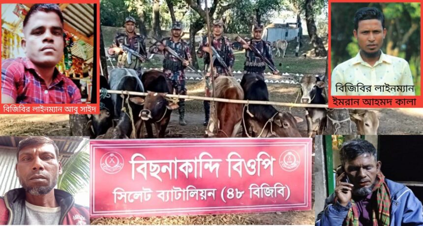 বিছনাকান্দি সিমান্তে অপ্রতিরুধ্য চোরাচালান -নেপথ্যে বিজিবির লাইনম্যানরা - Surma Times | Sylhet News