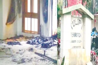 টিউলিপস টেরিটরি ঘুরে যা দেখা গেল 10 টিউলিপস টেরিটরি ঘুরে যা দেখা গেল - Surma Times | Sylhet News