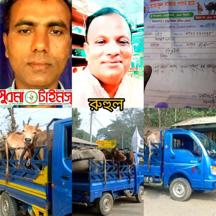 গোয়াইনঘাটের তোয়াকুল বাজার পশুর হাট: চাচা ভাতিজার রাম রাজত্ব! 1 গোয়াইনঘাটের তোয়াকুল বাজার পশুর হাট: চাচা ভাতিজার রাম রাজত্ব! - Surma Times | Sylhet News