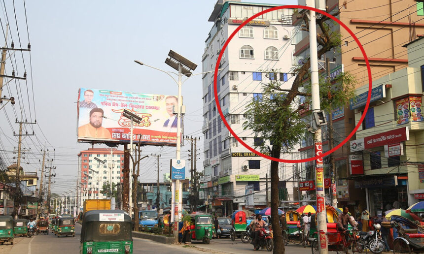 নগরীতে নিজের বিলবোর্ড দেখাতে গাছ কাটলেন বিএনপি নেতা! 1 নগরীতে নিজের বিলবোর্ড দেখাতে গাছ কাটলেন বিএনপি নেতা! - Surma Times | Sylhet News