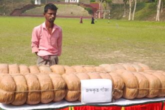 জৈন্তাপুরে ৬০ কেজি গাঁজা সহ একজন আটক 4 জৈন্তাপুরে ৬০ কেজি গাঁজা সহ একজন আটক - Surma Times | Sylhet News