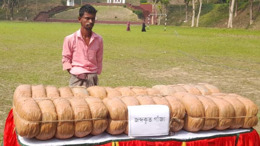 জৈন্তাপুরে ৬০ কেজি গাঁজা সহ একজন আটক 1 জৈন্তাপুরে ৬০ কেজি গাঁজা সহ একজন আটক - Surma Times | Sylhet News