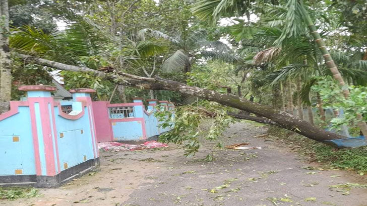 বড়লেখায় ঝড় আর শিলাবৃষ্টিতে ৫শতাধিক ঘরবাড়ি ক্ষতিগ্রস্থ 1 বড়লেখায় ঝড় আর শিলাবৃষ্টিতে ৫শতাধিক ঘরবাড়ি ক্ষতিগ্রস্থ - Surma Times | Sylhet News