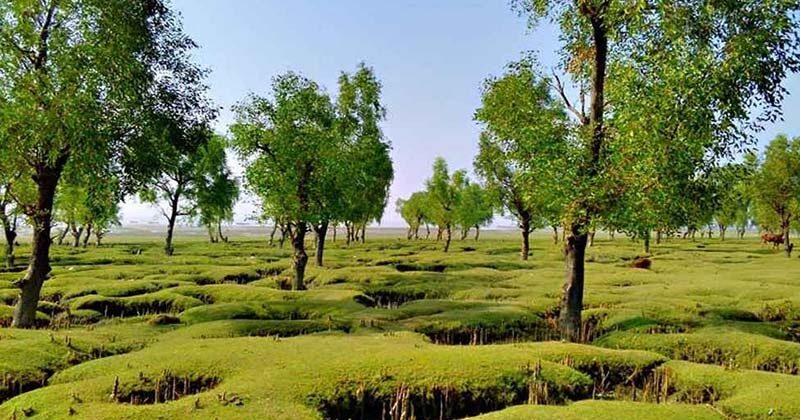সমুদ্র সৈকতে সংঘবদ্ধ ধর্ষণের শিকার কলেজ শিক্ষার্থী - Surma Times | Sylhet News