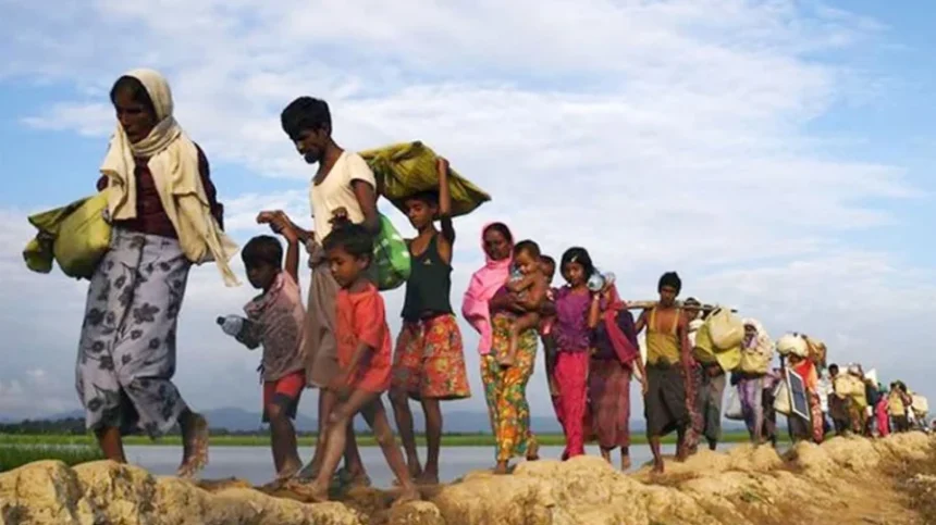 রোহিঙ্গাদের জন্য ১ কোটি ২৭ লাখ মার্কিন ডলার দিচ্ছে সুইডেন 1 রোহিঙ্গাদের জন্য ১ কোটি ২৭ লাখ মার্কিন ডলার দিচ্ছে সুইডেন - Surma Times | Sylhet News