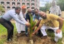বৃক্ষ মানুষের পরম ও প্রকৃত বন্ধু- আরিফুল হক চৌধুরী