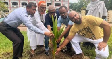 বৃক্ষ মানুষের পরম ও প্রকৃত বন্ধু- আরিফুল হক চৌধুরী