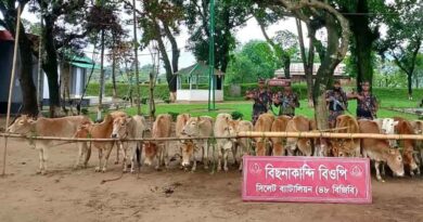সিলেটে ফের দেড় কোটি টাকার ভারতীয় চোরাই পণ্য জব্দ
