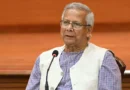 ফেব্রুয়ারিতেই মহোৎসবে জাতীয় নির্বাচন: প্রধান উপদেষ্টা