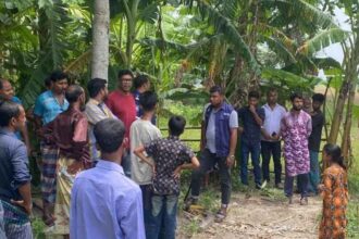 ম্যাগনেটিক পিলারে কোটিপতি হওয়ার স্বপ্ন, পিরোজপুরে রহস্যের ধোঁয়াশা 12 ম্যাগনেটিক পিলারে কোটিপতি হওয়ার স্বপ্ন, পিরোজপুরে রহস্যের ধোঁয়াশা - Surma Times | Sylhet News