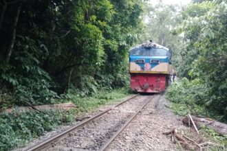 লাউয়াছড়ায় বগি লাইনচ্যুত, ৫ ঘণ্টা পর সিলেটের রেল চলাচল স্বাভাবিক - Surma Times | Sylhet News