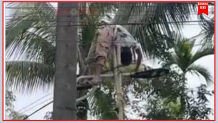 গাছে পতাকা তুলতে গিয়ে বিদ্যুৎস্পৃষ্ট, সিলেটে এসএসসি পরীক্ষার্থী আইসিইউতে - Surma Times | Sylhet News