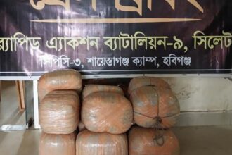 আমের পিকআপে গাঁজার চালান, মাধবপুরে র্যাবের হাতে ধরা ৫৯ কেজি মাদক 26 আমের পিকআপে গাঁজার চালান, মাধবপুরে র্যাবের হাতে ধরা ৫৯ কেজি মাদক - Surma Times | Sylhet News