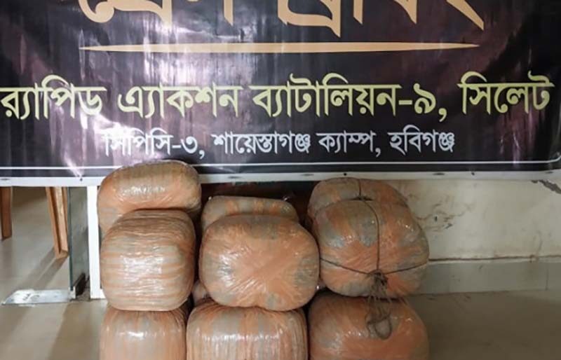 আমের পিকআপে গাঁজার চালান, মাধবপুরে র্যাবের হাতে ধরা ৫৯ কেজি মাদক 1 আমের পিকআপে গাঁজার চালান, মাধবপুরে র্যাবের হাতে ধরা ৫৯ কেজি মাদক - Surma Times | Sylhet News