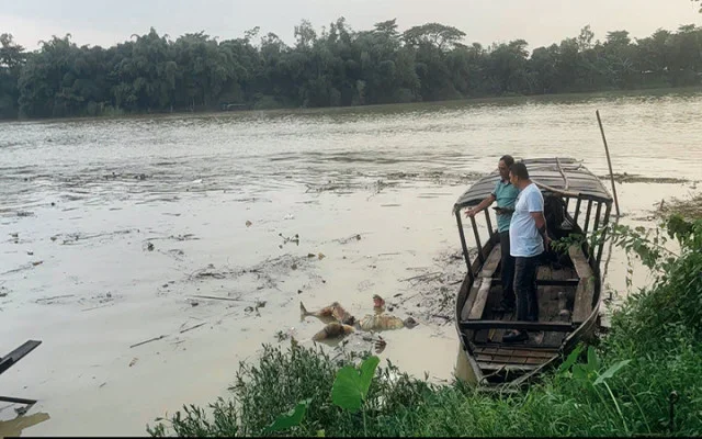 গোলাপগঞ্জে সুরমা নদী থেকে অর্ধগলিত অজ্ঞাত মরদেহ উদ্ধার - Surma Times | Sylhet News