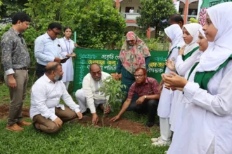 অগ্রগামী ও পাইলট বিদ্যালয়ে বৃক্ষরোপণ কর্মসূচি পালন - Surma Times | Sylhet News