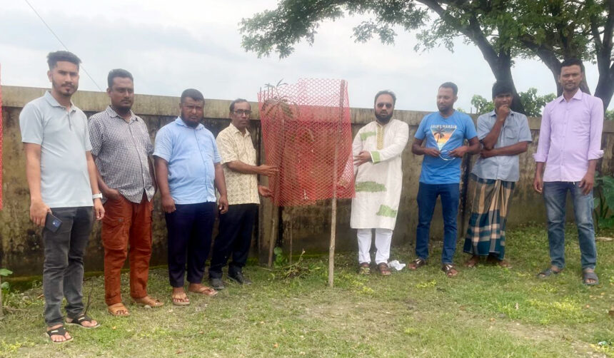 শান্তিগঞ্জের জেবিবি উচ্চ বিদ্যালয়ে ‘ওয়ান চাইল্ড, ওয়ান ট্রি’ কর্মসূচির উদ্বোধন 1 শান্তিগঞ্জের জেবিবি উচ্চ বিদ্যালয়ে ‘ওয়ান চাইল্ড, ওয়ান ট্রি’ কর্মসূচির উদ্বোধন - Surma Times | Sylhet News