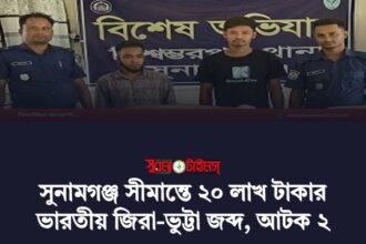 সুনামগঞ্জ সীমান্তে ২০ লাখ টাকার ভারতীয় জিরা-ভুট্টা জব্দ, আটক ২ - Surma Times | Sylhet News