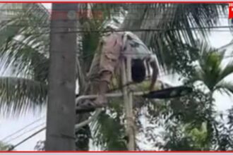 গাছে পতাকা তুলতে গিয়ে বিদ্যুৎস্পৃষ্ট, সিলেটে এসএসসি পরীক্ষার্থী আইসিইউতে 10 গাছে পতাকা তুলতে গিয়ে বিদ্যুৎস্পৃষ্ট, সিলেটে এসএসসি পরীক্ষার্থী আইসিইউতে - Surma Times | Sylhet News