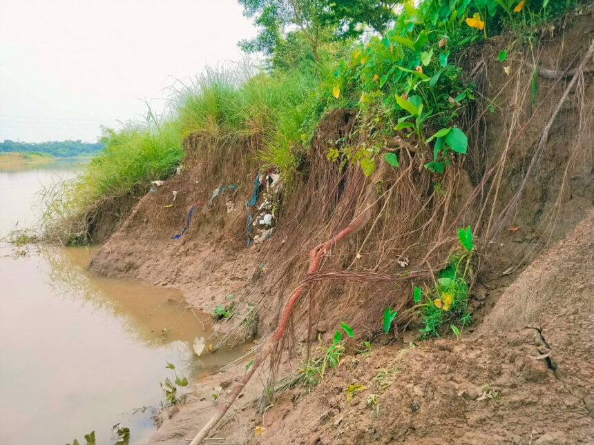 গোলাপগঞ্জে শিংপুর ডাইক ভাঙন, আতঙ্কে কাঁপছে এলাকা - Surma Times | Sylhet News