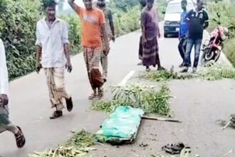 বিয়ানীবাজারে বাস-সিএনজি সংঘর্ষে নিহত ১, আহত ২ 26 বিয়ানীবাজারে বাস-সিএনজি সংঘর্ষে নিহত ১, আহত ২ - Surma Times | Sylhet News