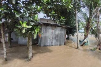 মৌলভীবাজারে বাঁধ ভেঙে প্লাবন, পানিবন্দী ৫০ হাজার মানুষ - Surma Times | Sylhet News
