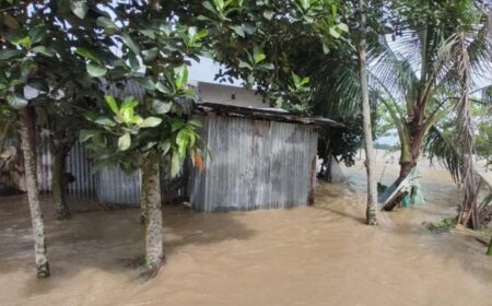 মৌলভীবাজারে বাঁধ ভেঙে প্লাবন, পানিবন্দী ৫০ হাজার মানুষ - Surma Times | Sylhet News