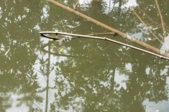 বিয়ানীবাজারে পুকুর থেকে মানসিক ভারসাম্যহীন যুবকের মরদেহ উদ্ধার 20 বিয়ানীবাজারে পুকুর থেকে মানসিক ভারসাম্যহীন যুবকের মরদেহ উদ্ধার - Surma Times | Sylhet News