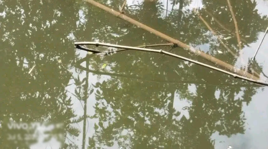 বিয়ানীবাজারে পুকুর থেকে মানসিক ভারসাম্যহীন যুবকের মরদেহ উদ্ধার 1 বিয়ানীবাজারে পুকুর থেকে মানসিক ভারসাম্যহীন যুবকের মরদেহ উদ্ধার - Surma Times | Sylhet News