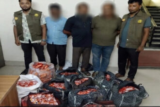 সিলেটে ডিবি পুলিশের অভিযানে ভারতীয় কিটক্যাট চকলেটসহ তিনজন গ্রেফতার 12 সিলেটে ডিবি পুলিশের অভিযানে ভারতীয় কিটক্যাট চকলেটসহ তিনজন গ্রেফতার - Surma Times | Sylhet News