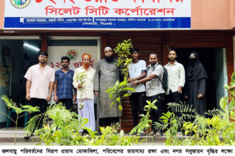 ১২নং ওয়ার্ডে ফলজ, বনজ ও ঔষধি গাছের চারা বিতরণ - Surma Times | Sylhet News