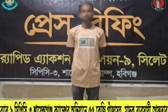 চুনারুঘাটে ৫৫ কেজি গাঁজাসহ মাদক ব্যবসায়ী গ্রেফতার - Surma Times | Sylhet News