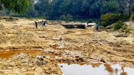 চুনারুঘাটে রাতের আঁধারে গাছ উজাড়, রাজনৈতিক ছত্রছায়ার অভিযোগ - Surma Times | Sylhet News
